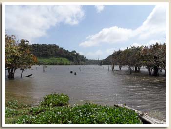 Le lac Danao